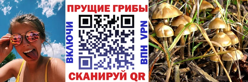 Галлюциногенные грибы Magic Shrooms купить наркотик Мирный